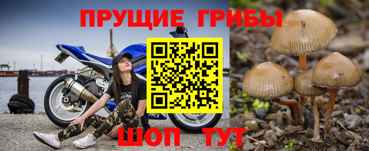 Псилоцибиновые грибы мухоморы Кемерово