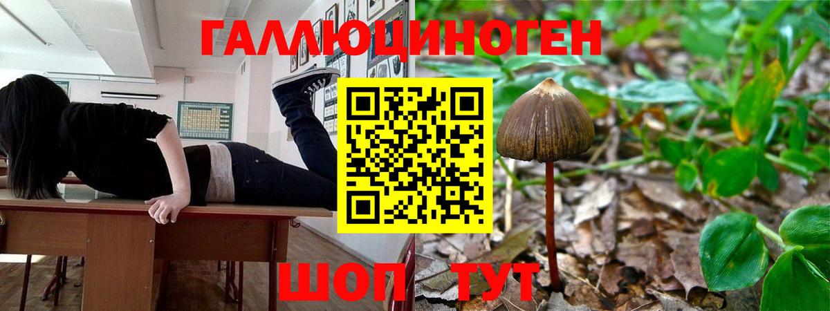 Галлюциногенные грибы GOLDEN TEACHER  магазин  наркотиков  Кемерово  Вход с VPN  Псилоцибиновые грибы Magic Shrooms 